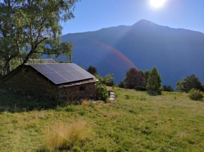 Bordes Pirineu, Costuix